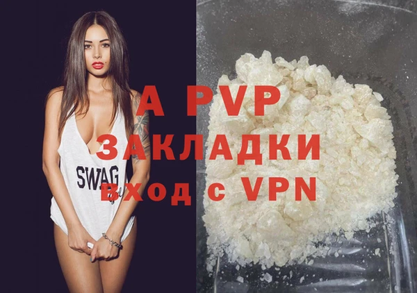 спиды Белокуриха